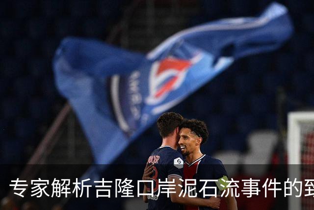 专家解析吉隆口岸泥石流事件的致因与影响