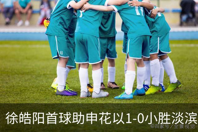 徐皓阳首球助申花以1-0小胜淡滨尼流浪
