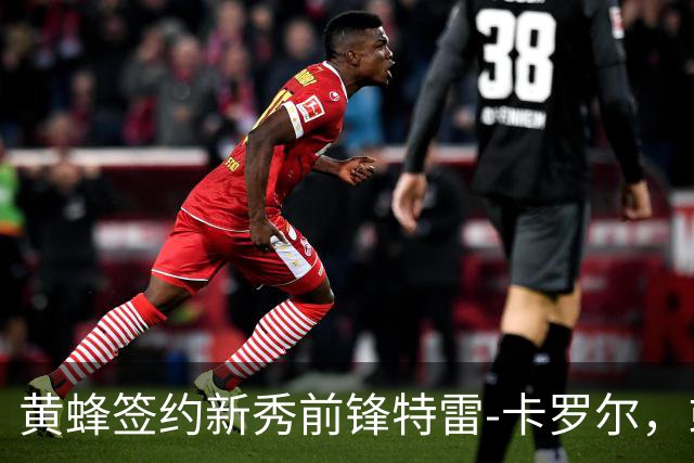黄蜂签约新秀前锋特雷-卡罗尔，或面临被裁命运？